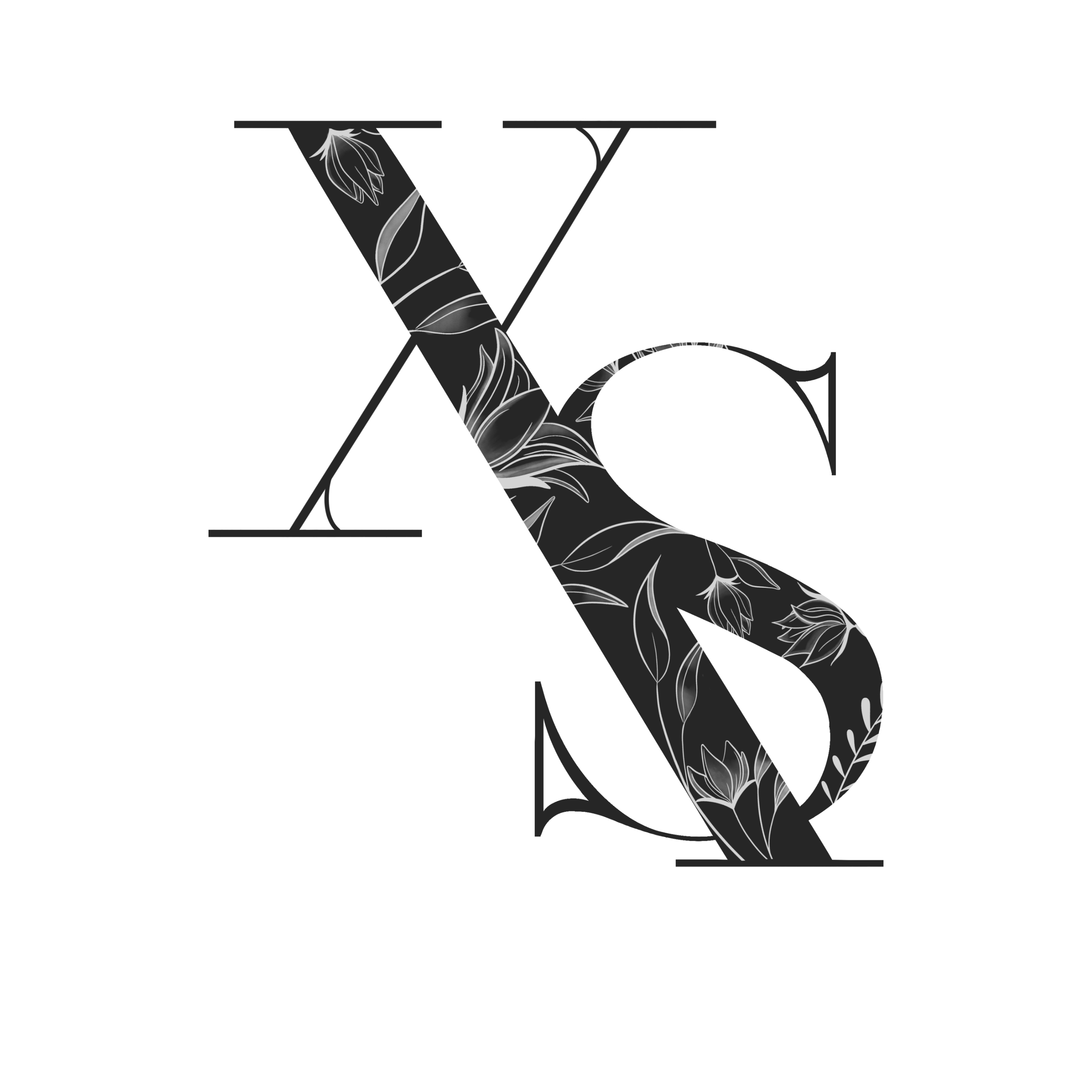 XS Studio logo